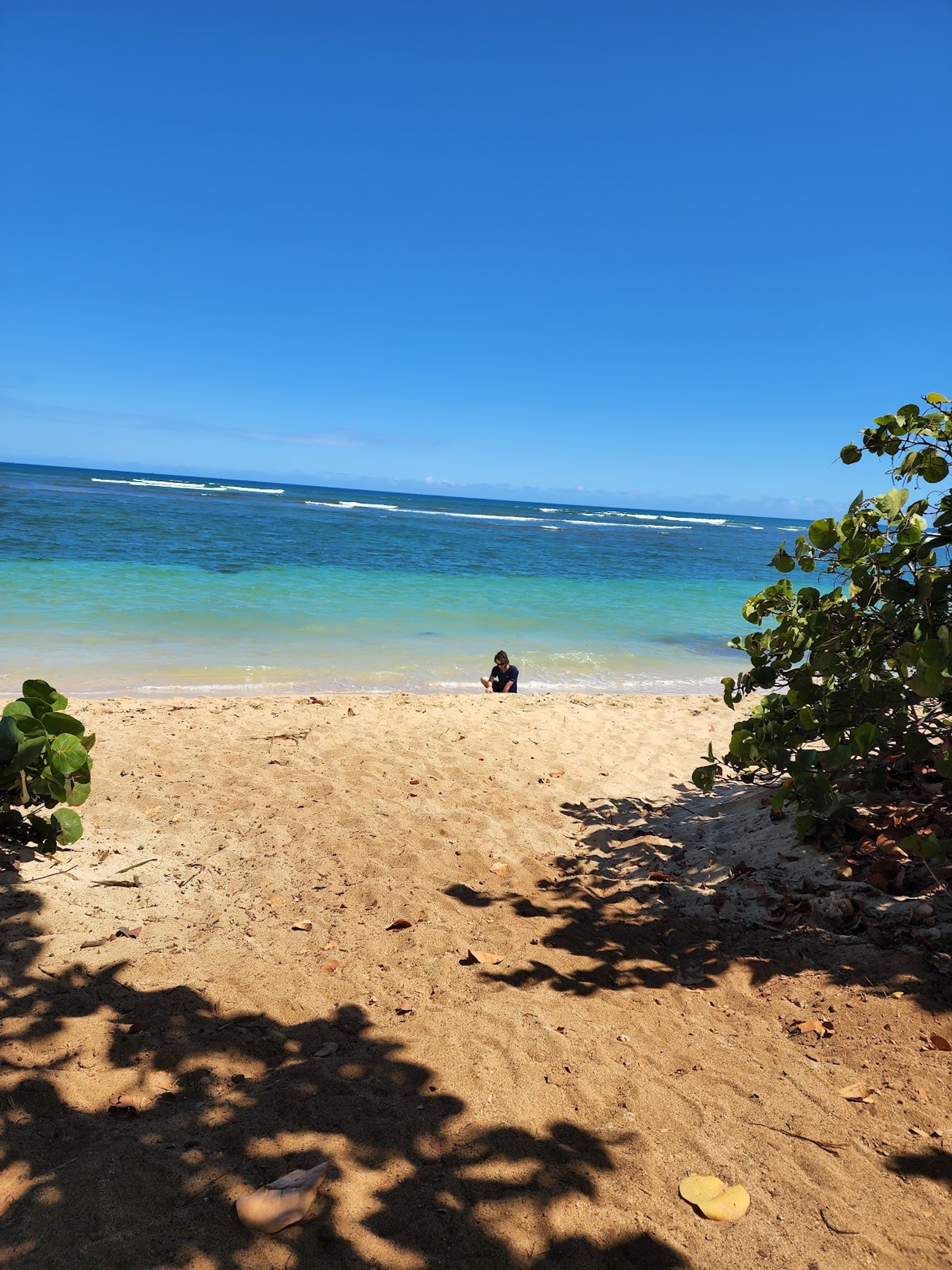 Photo 10 of ʻĀweoweo Beach Park in Waialua & Mokulēʻia, Oahu