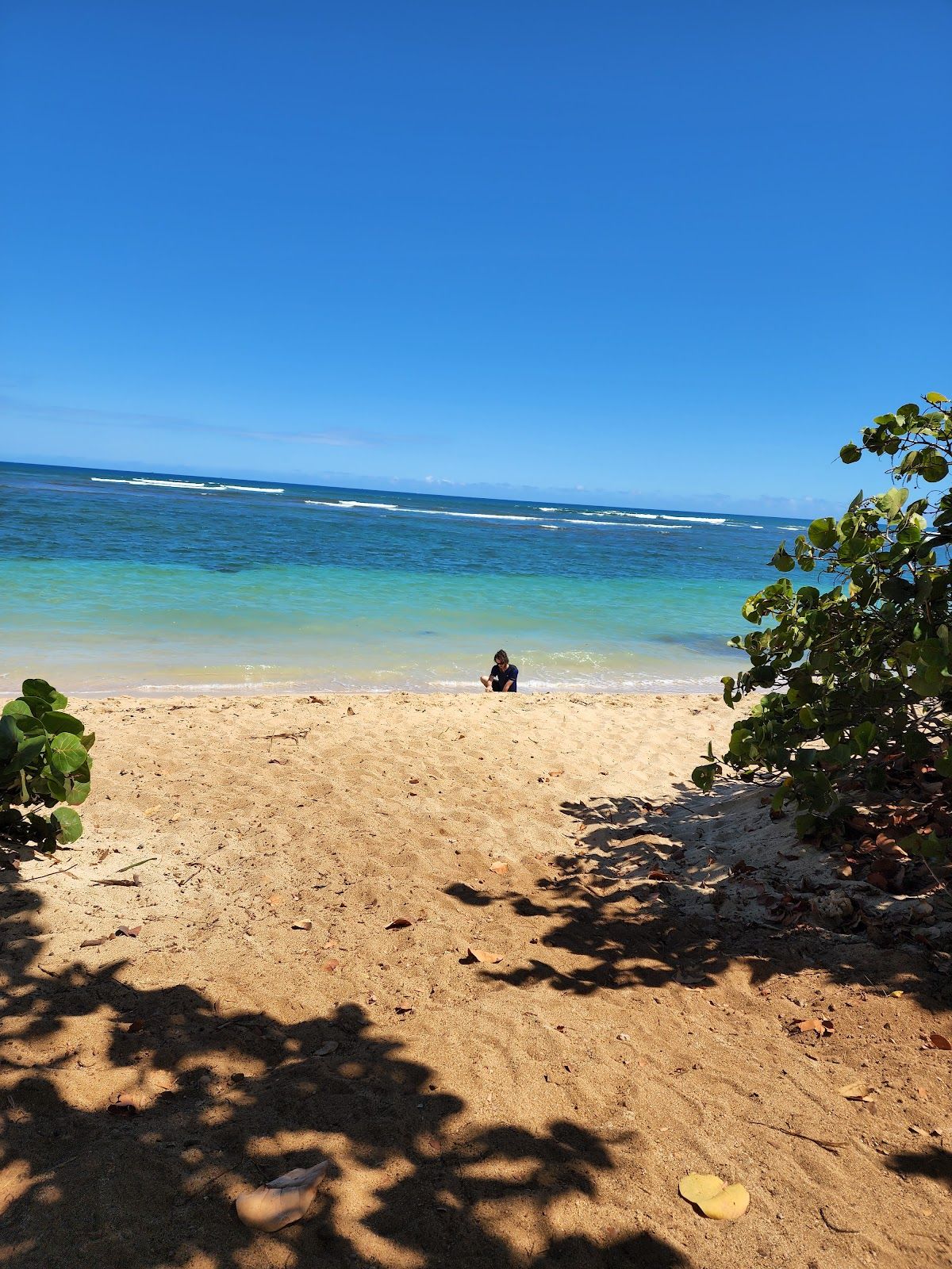 Photo 10 of ʻĀweoweo Beach Park in Waialua & Mokulēʻia, Oahu