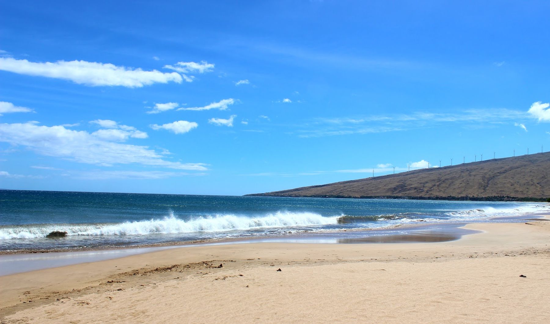 Photo 2 of Keālia Pond National Wildlife Refuge in Kīhei, Maui