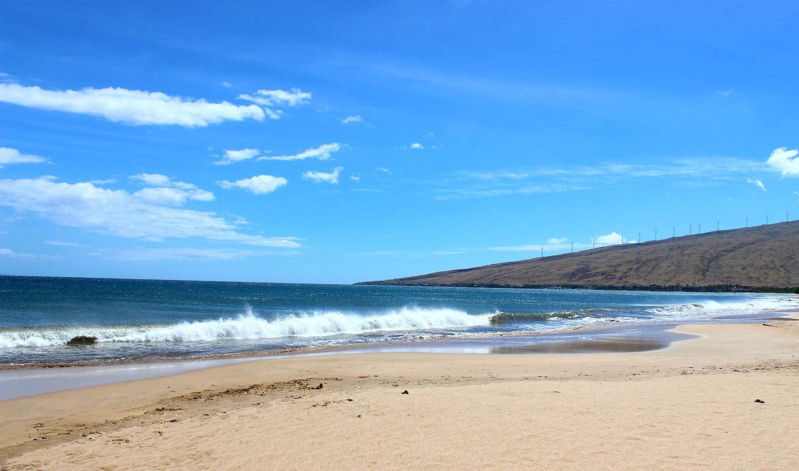 Photo 2 of Keālia Pond National Wildlife Refuge in Kīhei, Maui