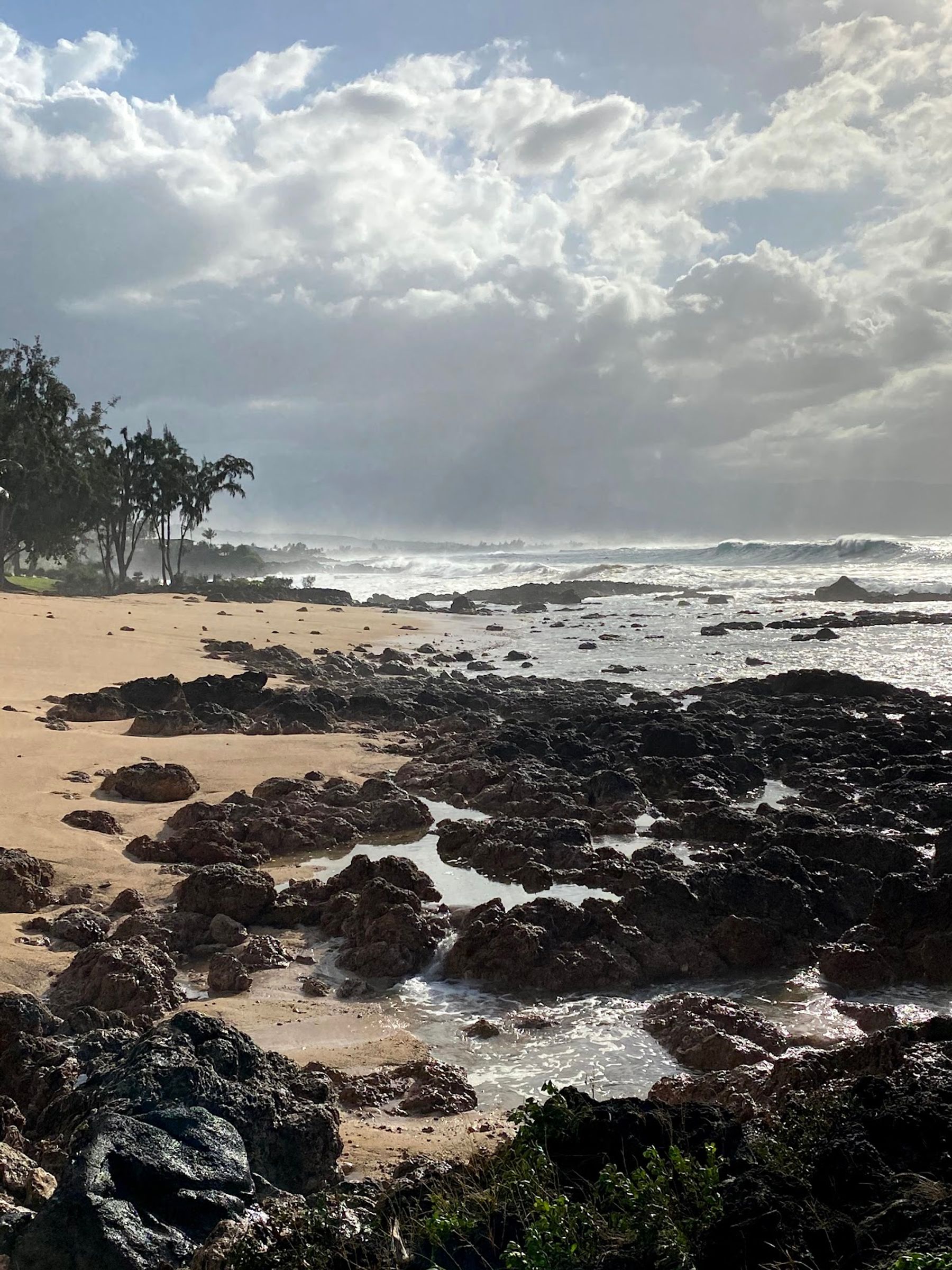 Photo 9 of Pūpūkea Beach Park in Pūpūkea, Oahu