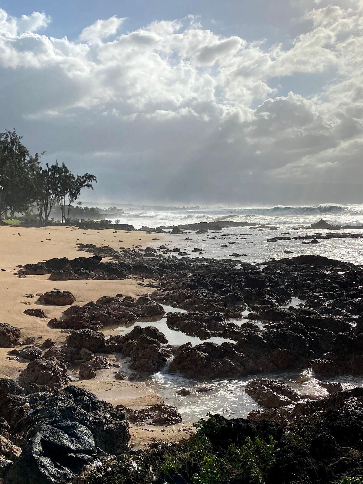 Photo 9 of Pūpūkea Beach Park in Pūpūkea, Oahu