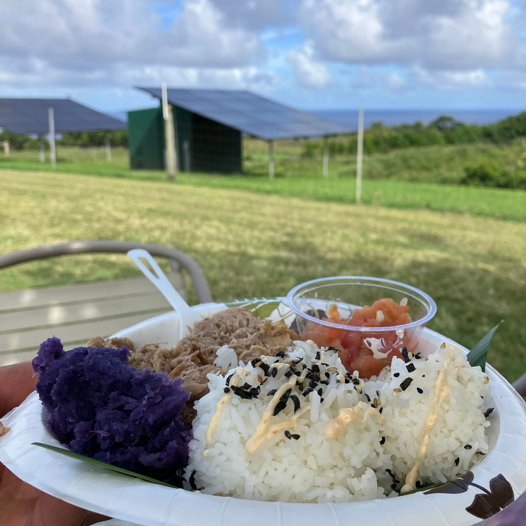 Photo 10 of Fresh Off the Grid, Kohala. in North Kohala, Big Island