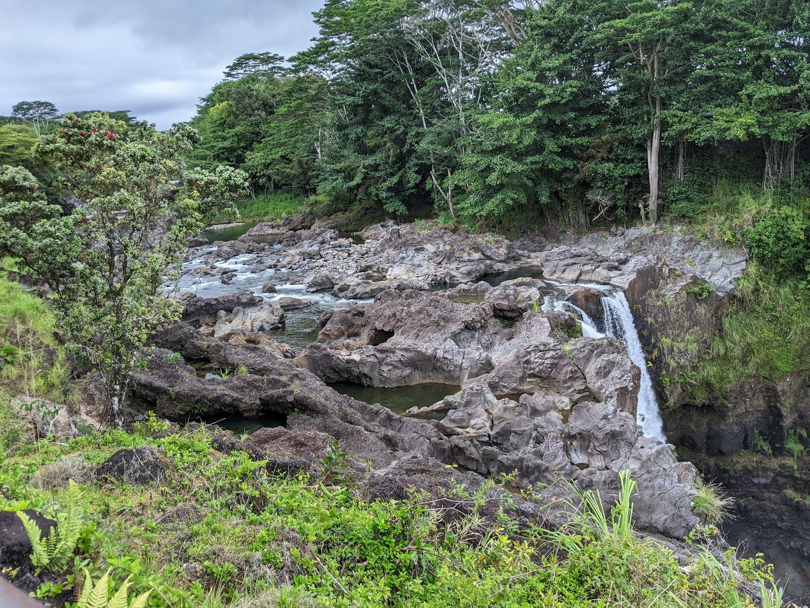 Photo 9 of Rainbow Falls in Hilo, Big Island