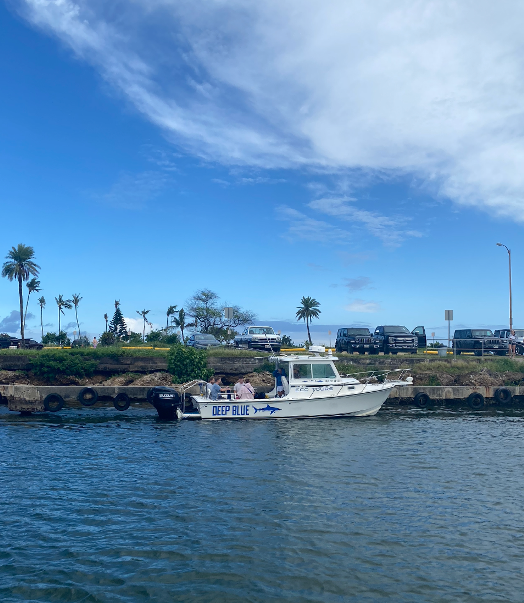 Photo 4 of Deep Blue Eco Tours in Haleʻiwa, Oahu