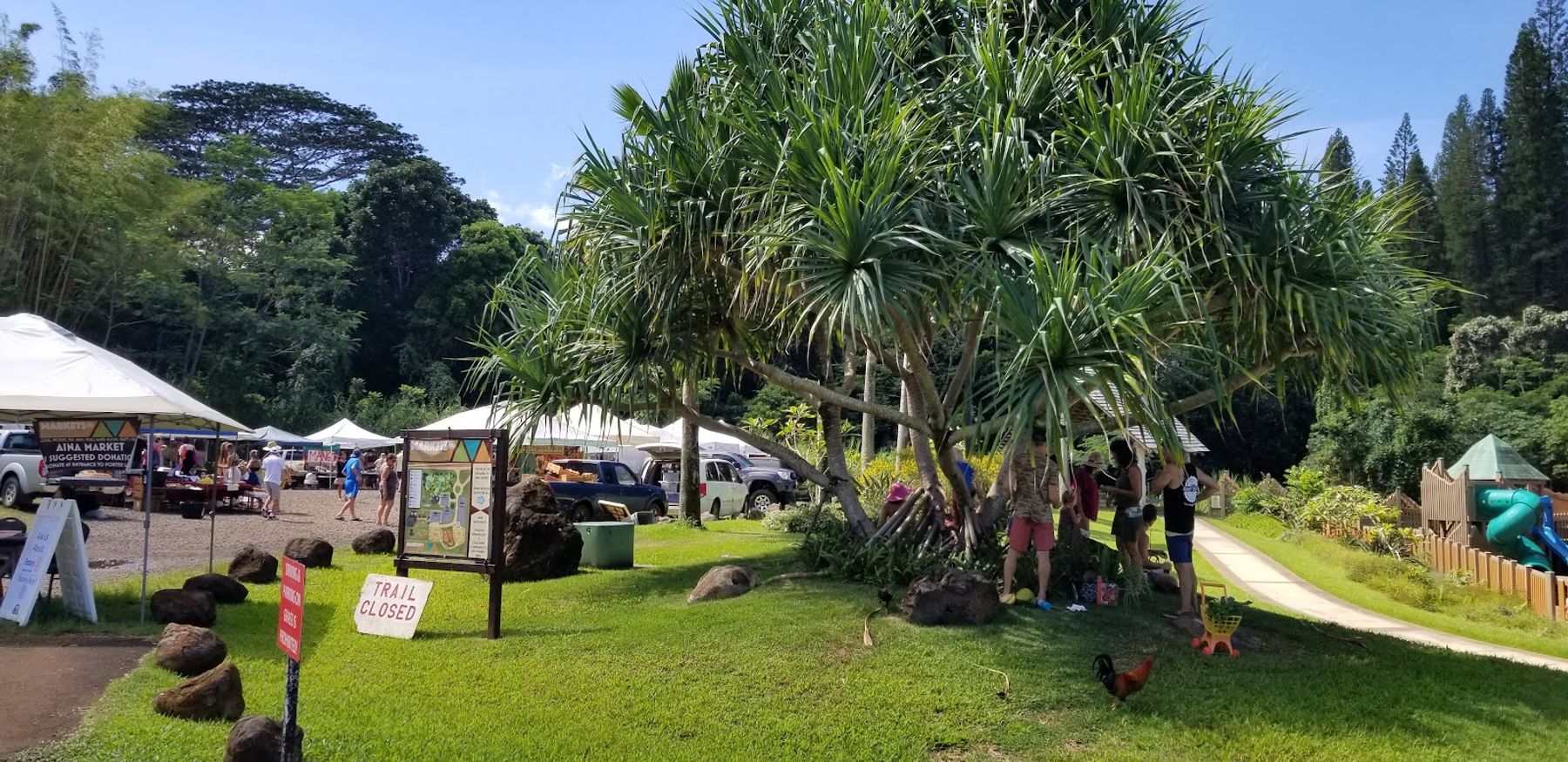 Anaina Hou Community Market in Kīlauea, Kaua‘i