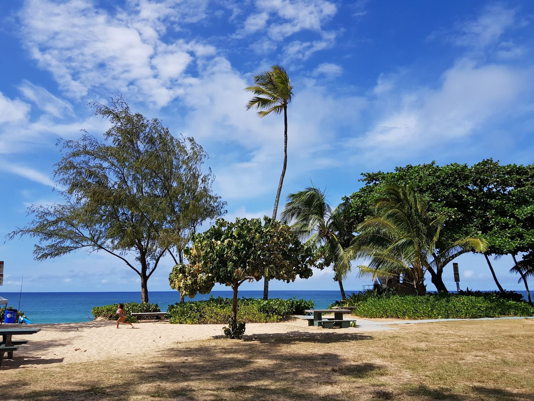 Photo 10 of ʻEhukai Beach Park in Pūpūkea, Oahu
