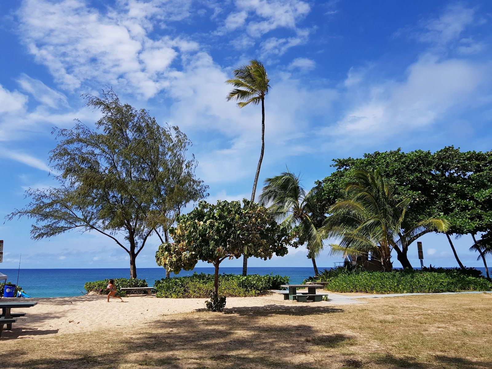 Photo 10 of ʻEhukai Beach Park in Pūpūkea, Oahu