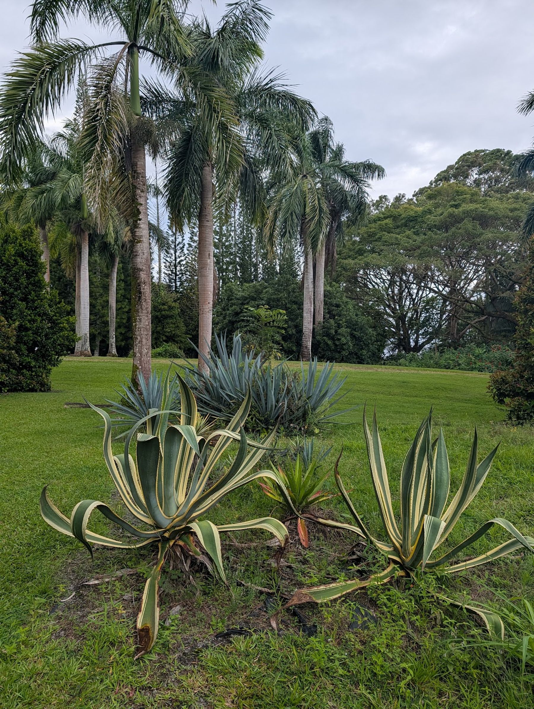 Photo 4 of Botanical World Adventures in Greater Hilo, Big Island