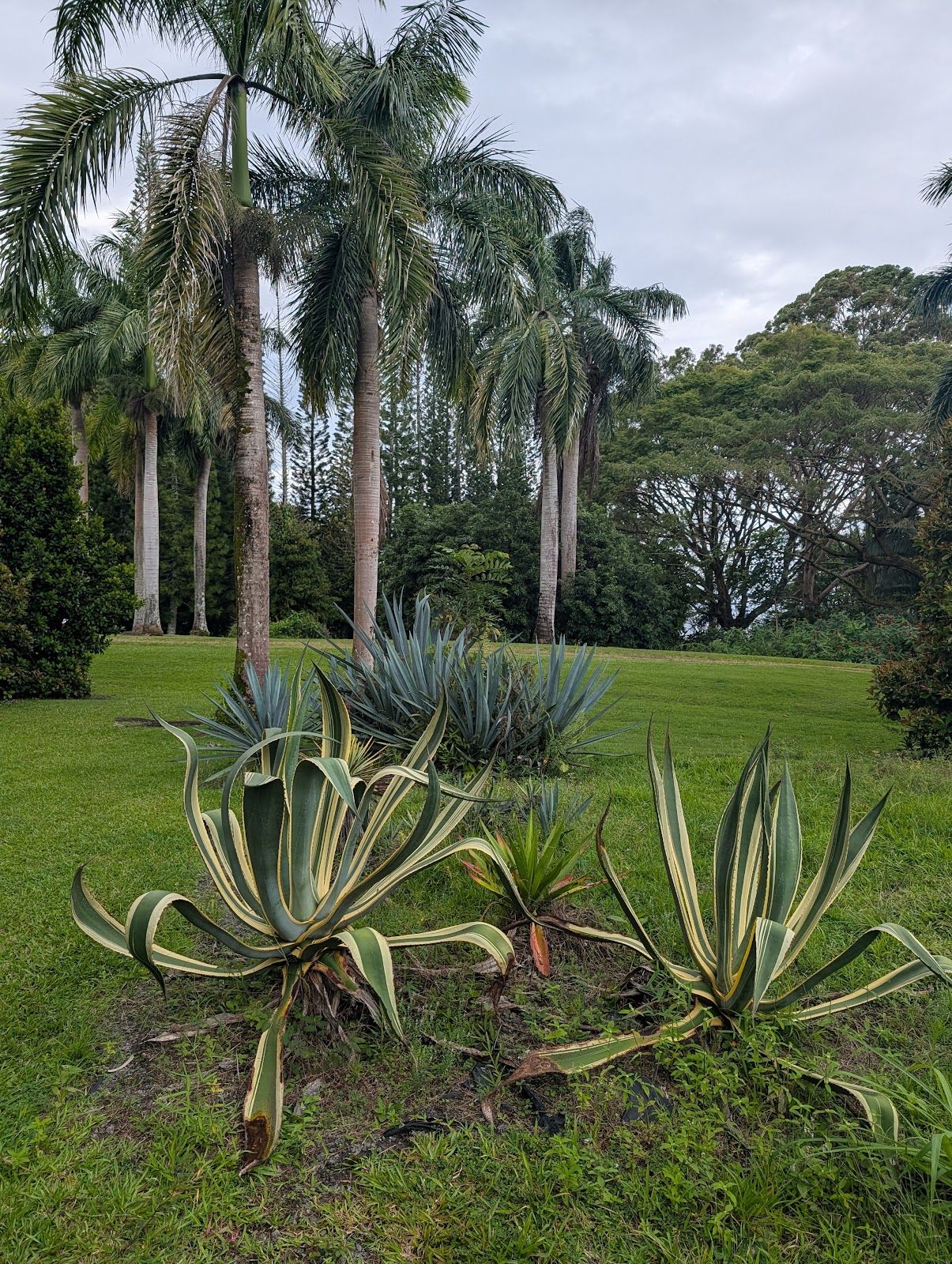 Photo 4 of Botanical World Adventures in Greater Hilo, Big Island