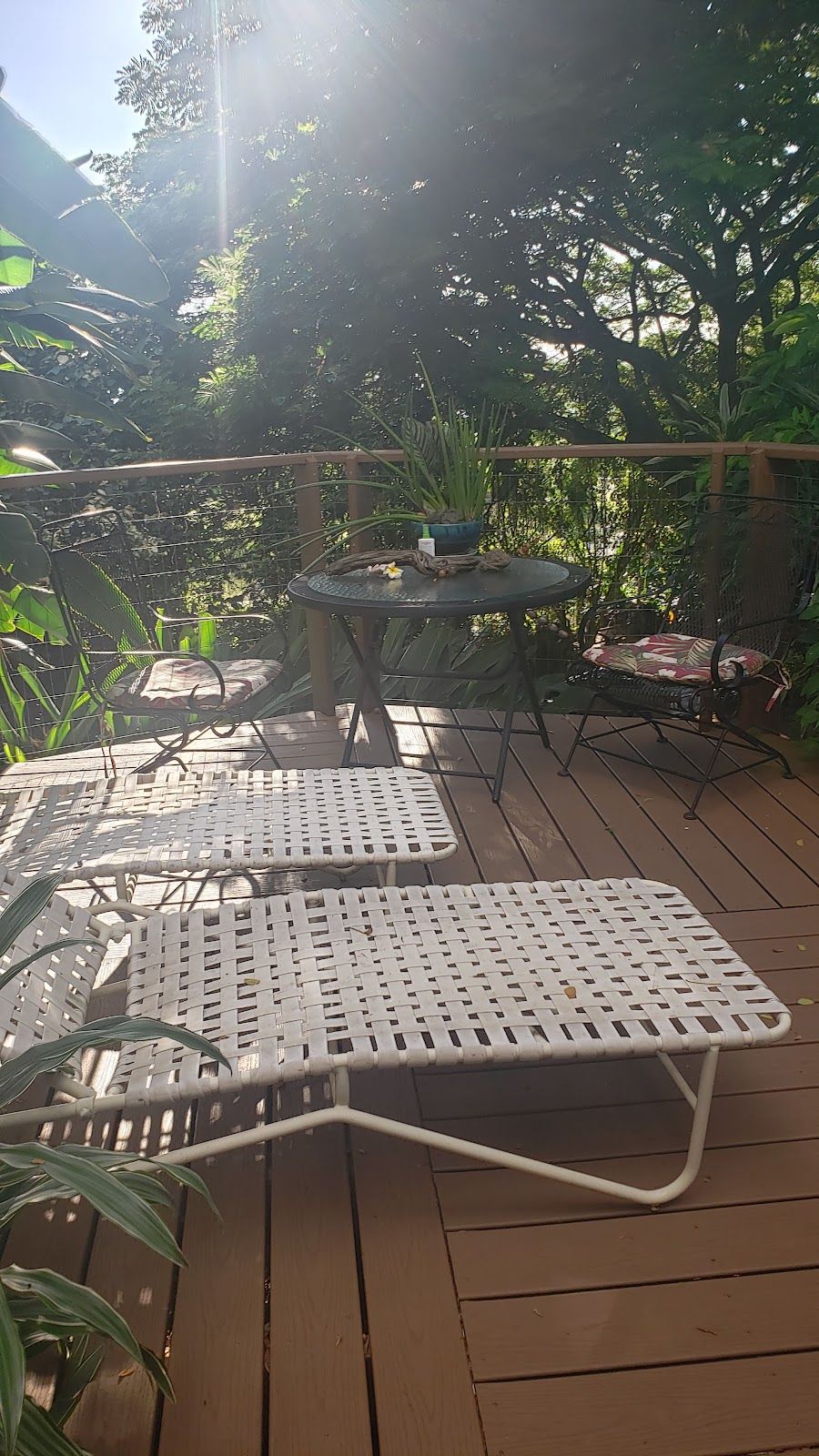 Photo 7 of Dragonfly Ranch in South Kona, Big-island