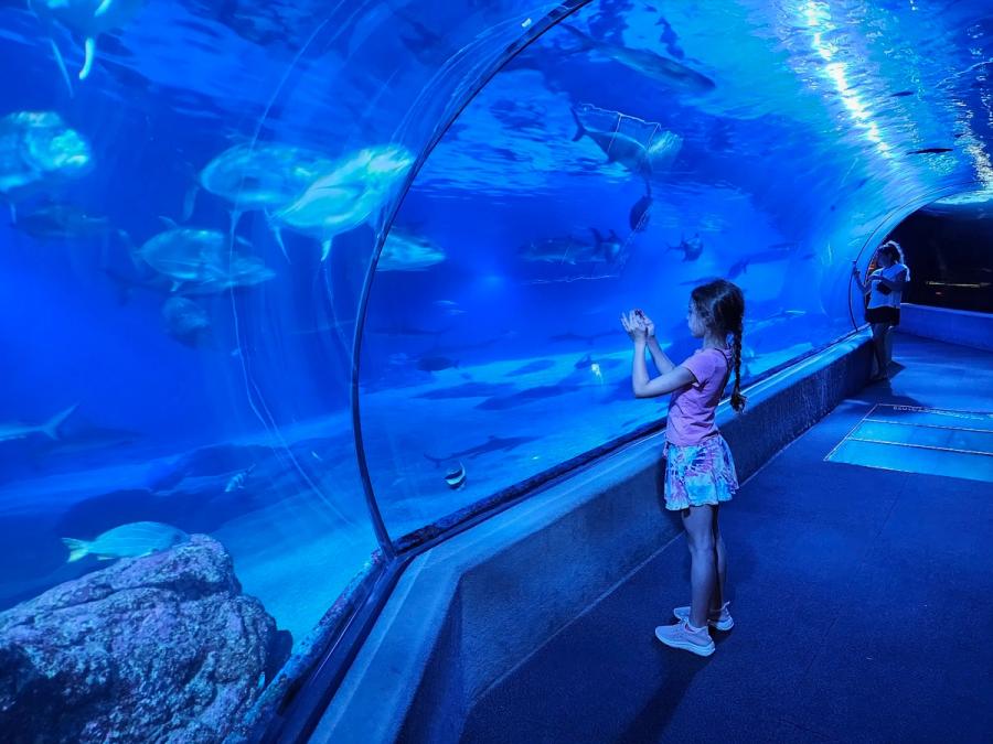 Photo 1 of Maui Ocean Center, The Aquarium of Hawaii in Māʻalaea, Maui