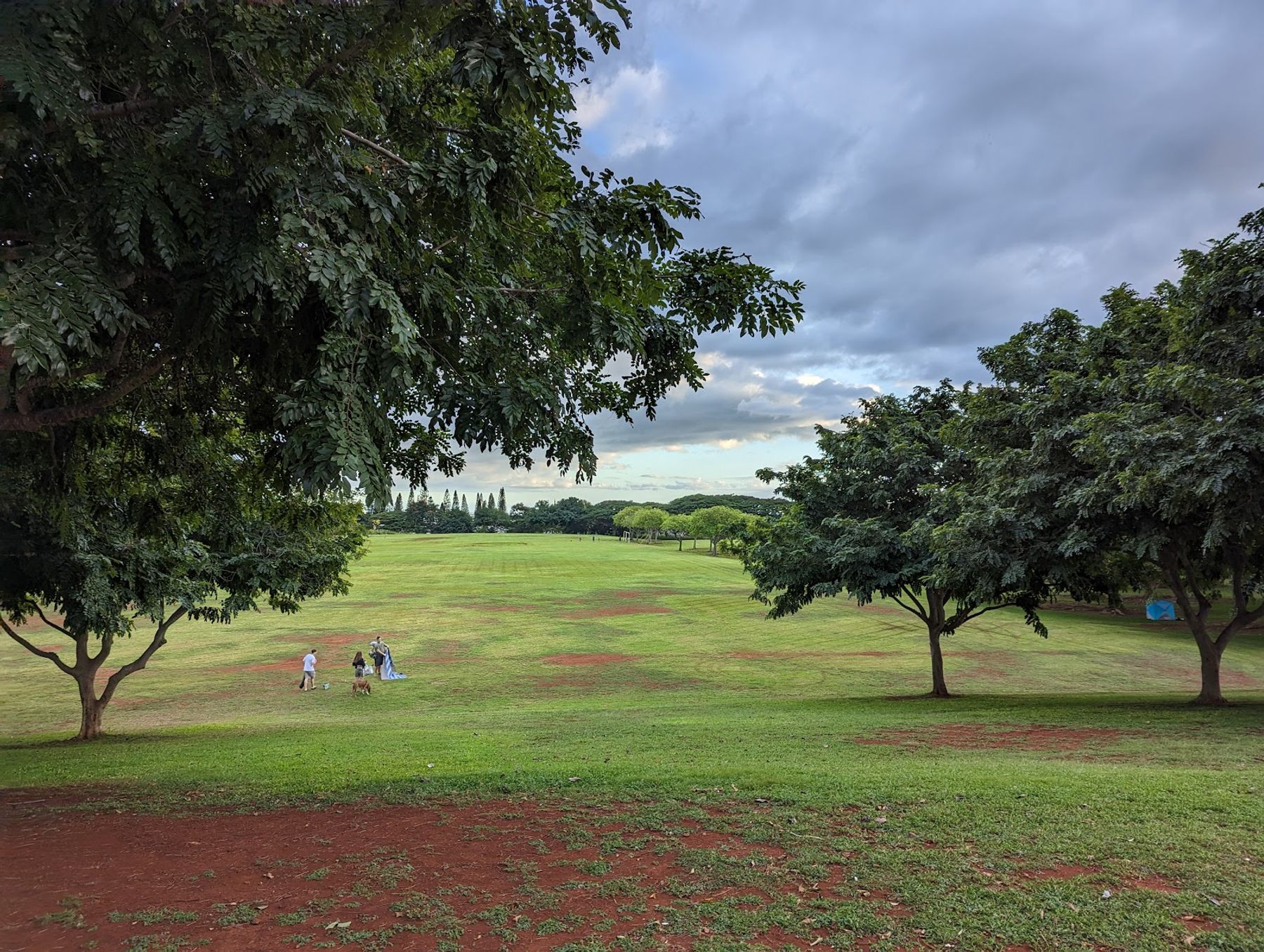 Photo 5 of Patsy T. Mink Central Oahu Regional Park in Waipahu & Kunia, Oahu