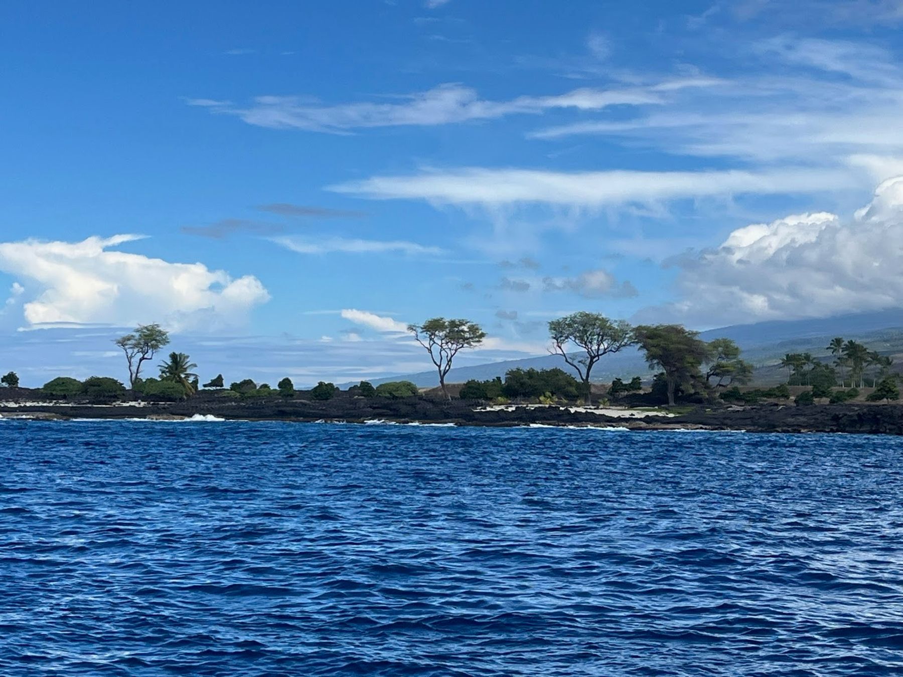 Photo 10 of Kona Coast Boat Tours in Kailua-Kona, Big Island
