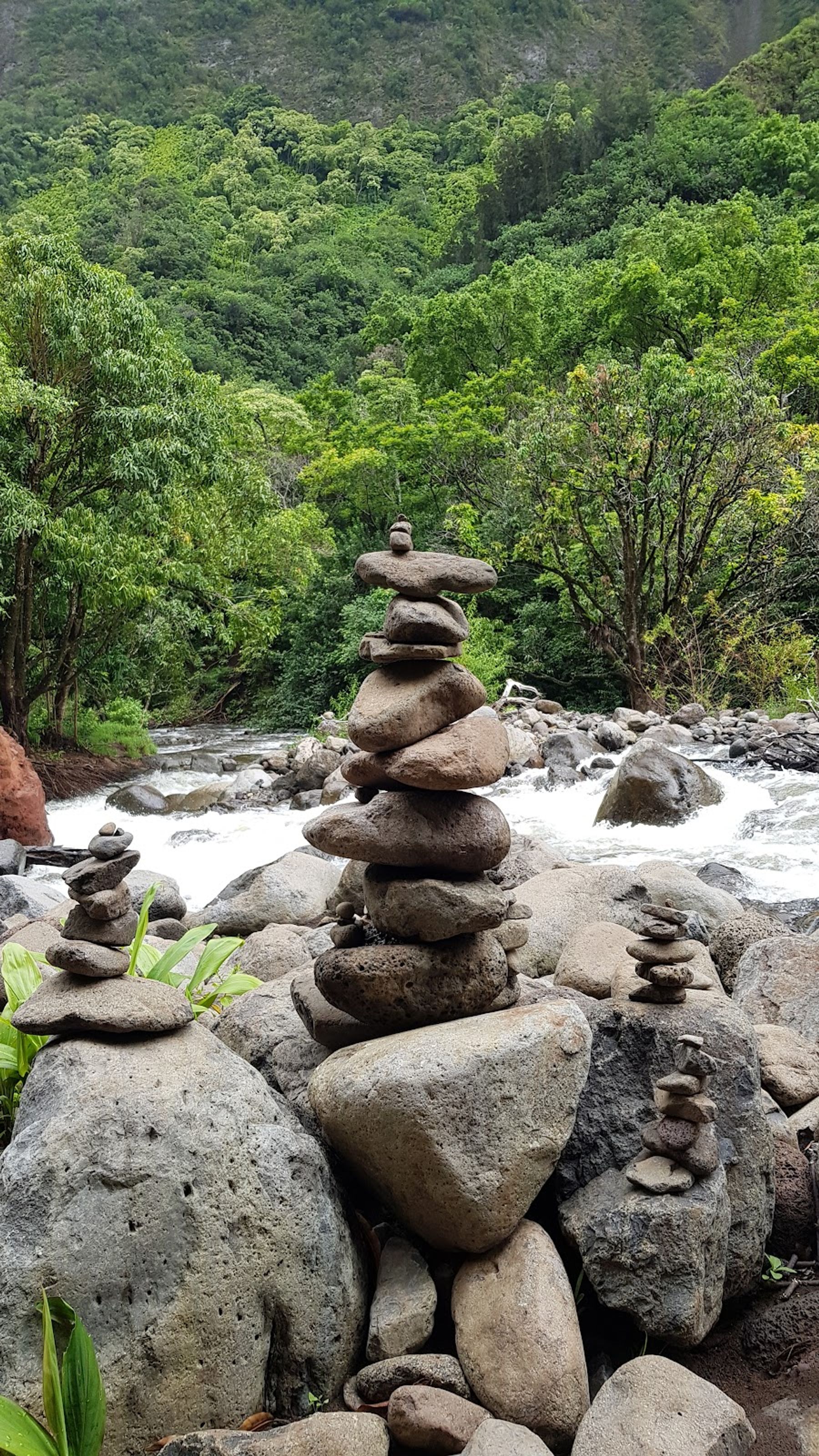 Photo 5 of ʻIao Needle Lookout Trail and Ethnobotanical Loop in Wailuku, Maui