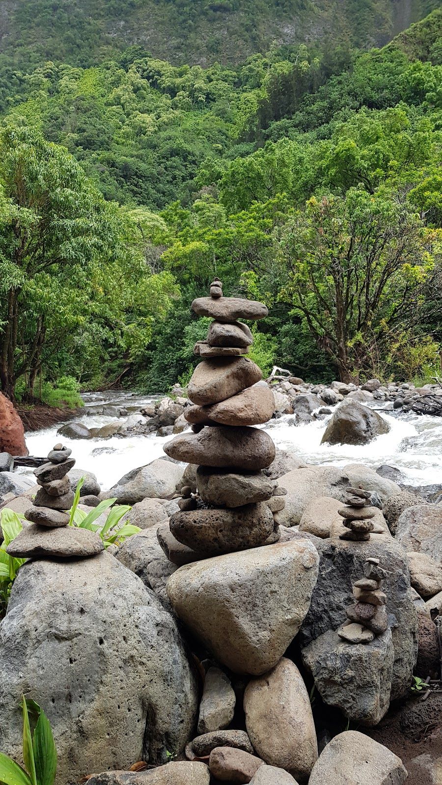 Photo 5 of ʻIao Needle Lookout Trail and Ethnobotanical Loop in Wailuku, Maui
