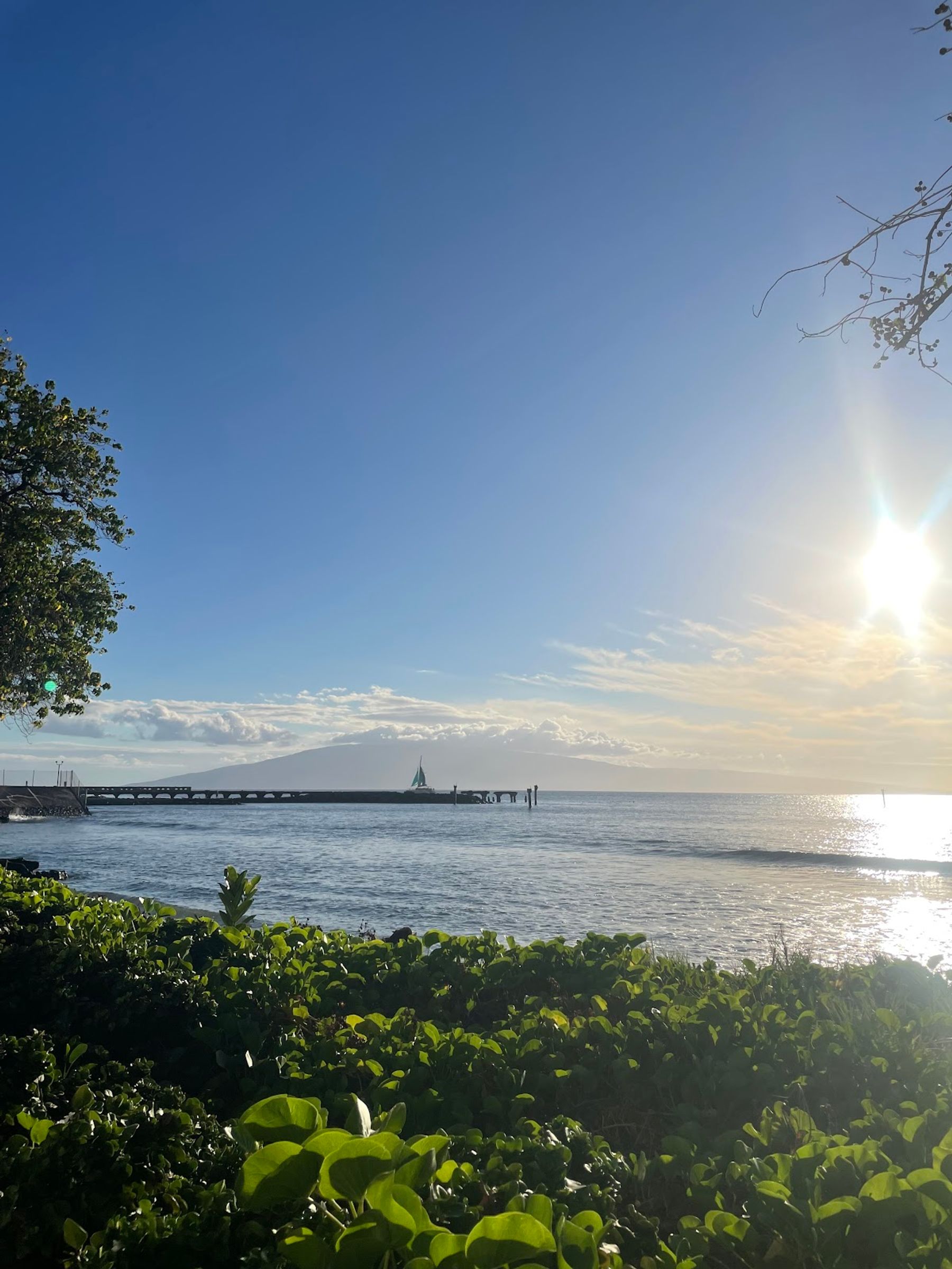 Photo 4 of Aloha Mixed Plate in Lāhainā, Maui