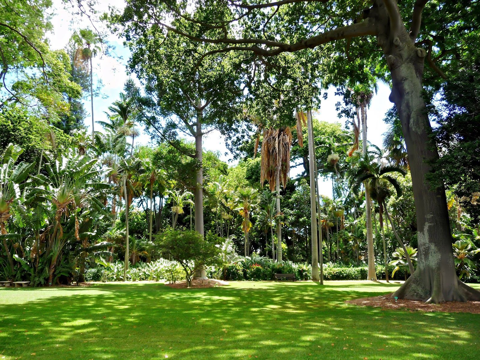Photo 1 of Foster Botanical Garden in Downtown, Chinatown & Kakaʻako, Oahu