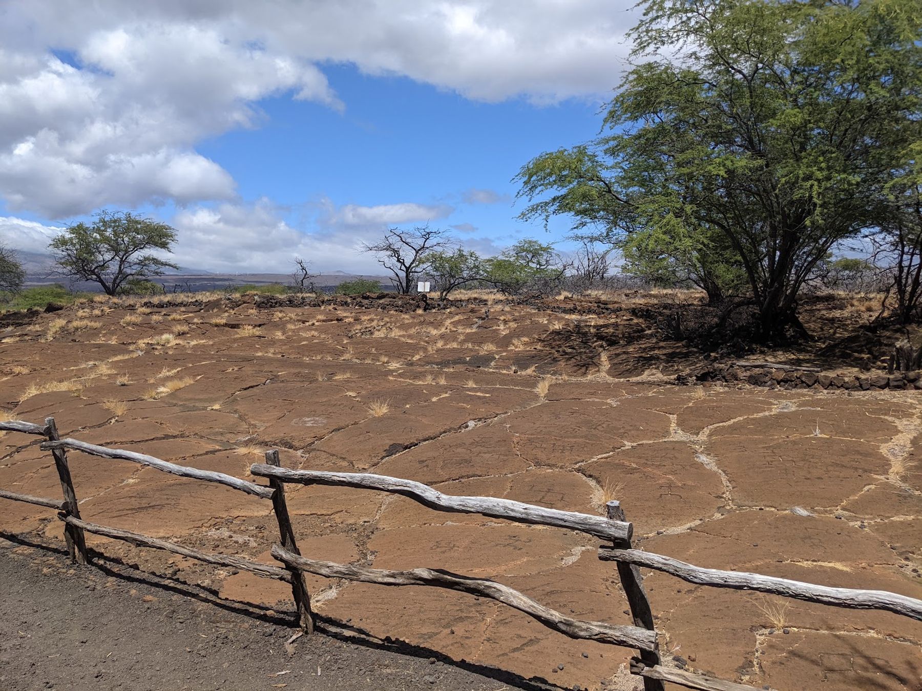 Photo 9 of Puakō Petroglyph Park in Waikoloa, Big Island