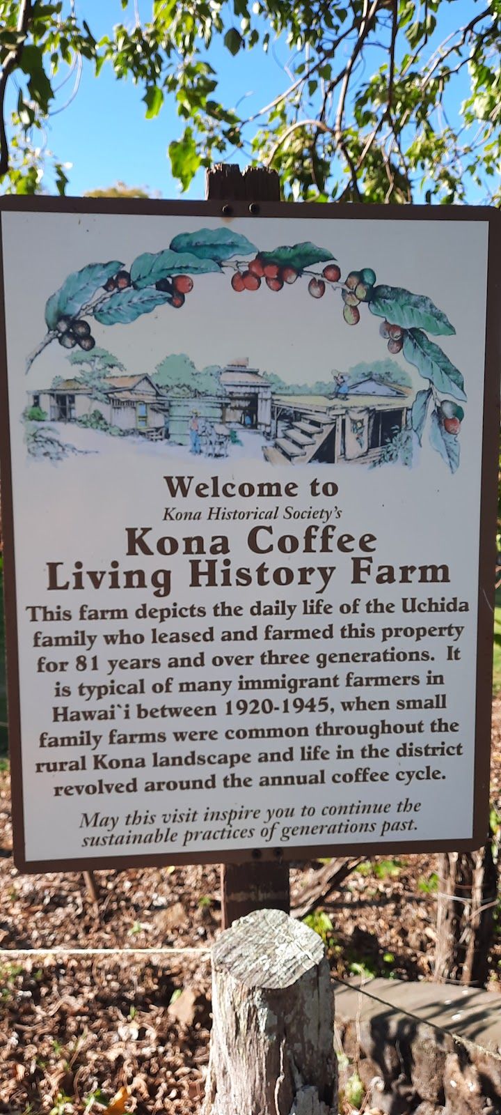 Photo 3 of Kona Coffee Living History Farm in South Kona, Big Island