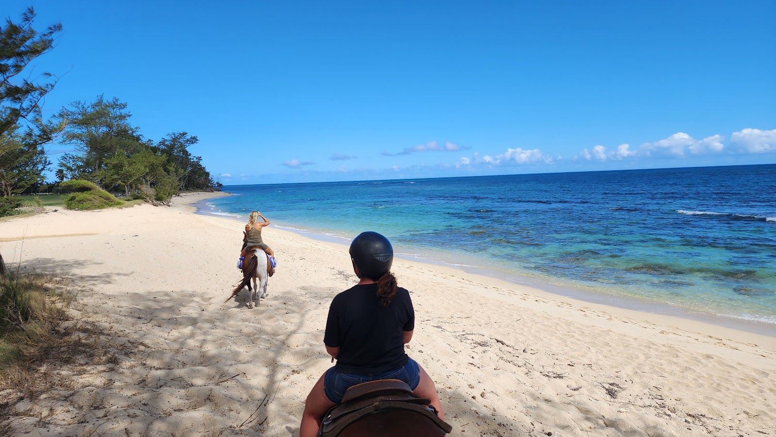 Photo 5 of Hawaii Polo Oceanfront Trail Rides in Waialua & Mokulēʻia, Oahu