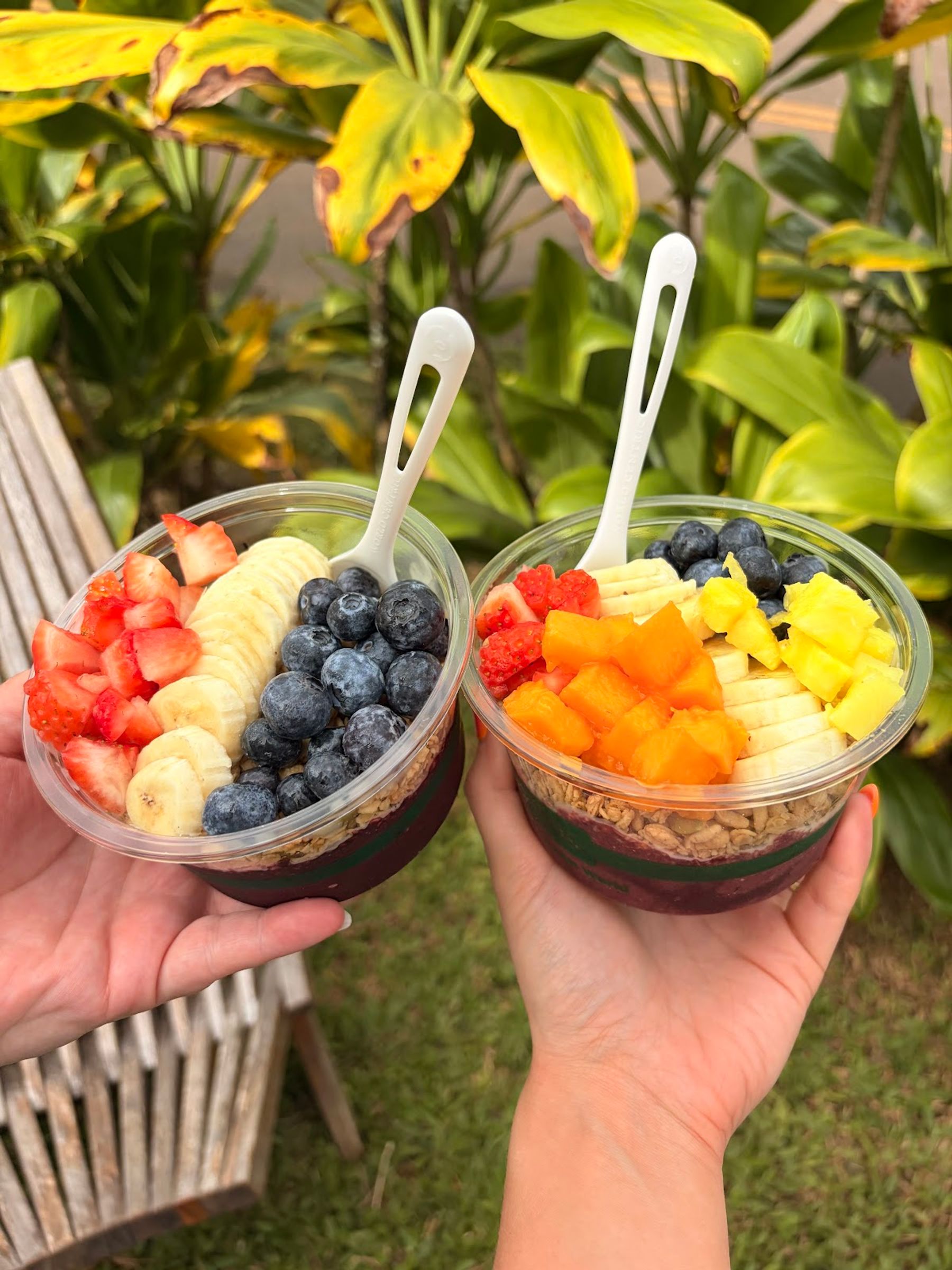 Photo 5 of North Shore Bowls in Kīlauea, Kauai