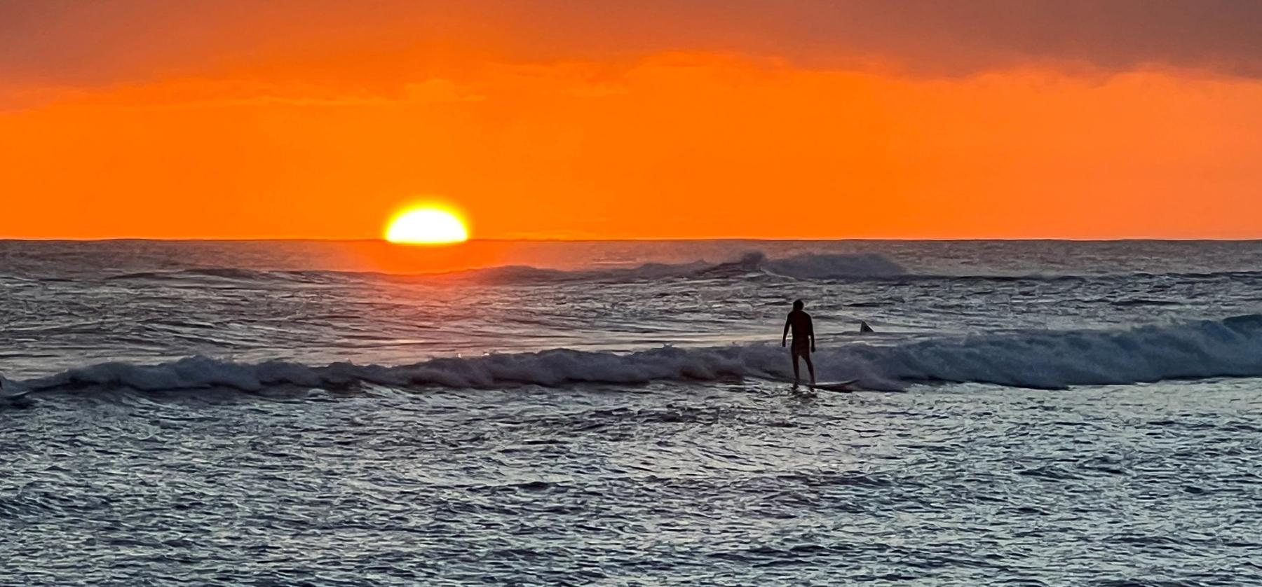 Orange sun setting over the ocean with rolling waves and a silhouetted surfer near shore