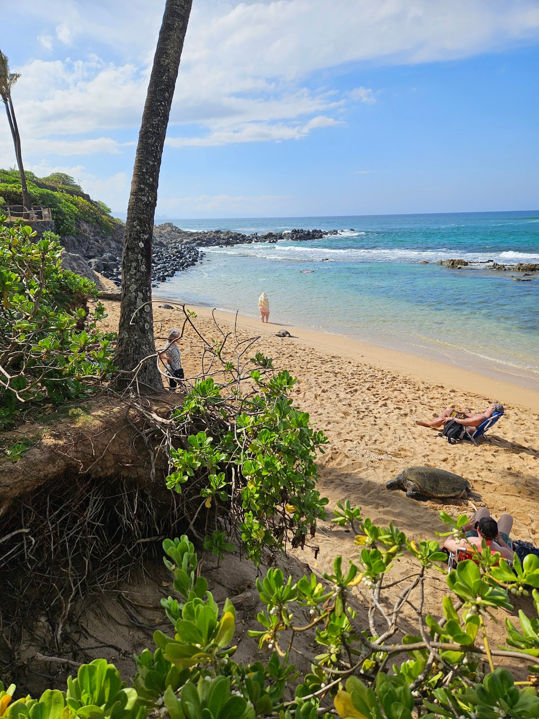Photo 9 of Mama's Fish House in Pāʻia, Maui