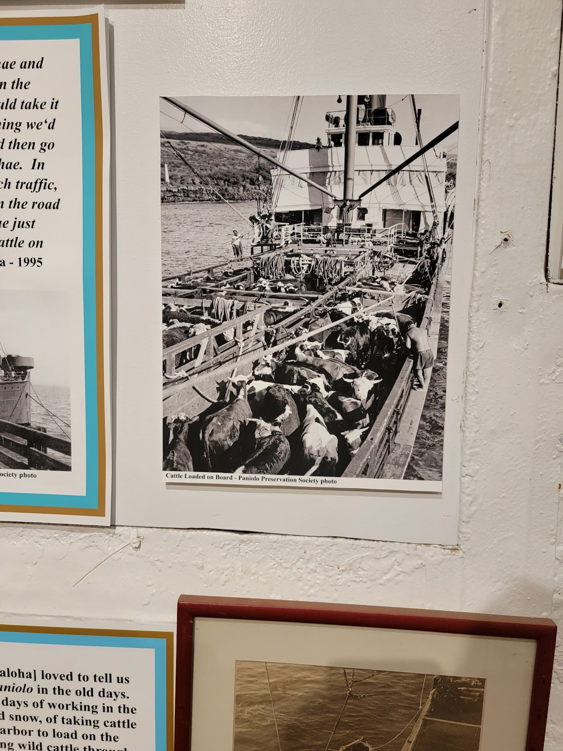 Photo 9 of Paniolo Heritage Center Hawaii's Cowboy Museum & Gift shop located Pukalani Stables. in Waimea, Big Island