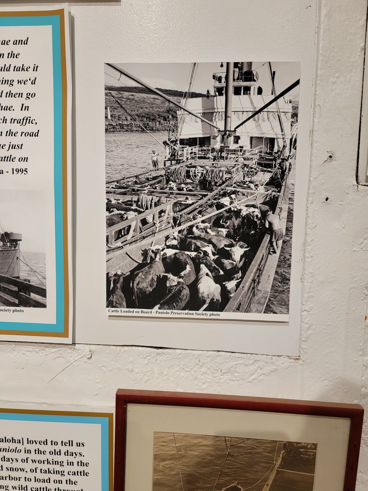 Photo 9 of Paniolo Heritage Center Hawaii's Cowboy Museum & Gift shop located Pukalani Stables. in Waimea, Big Island