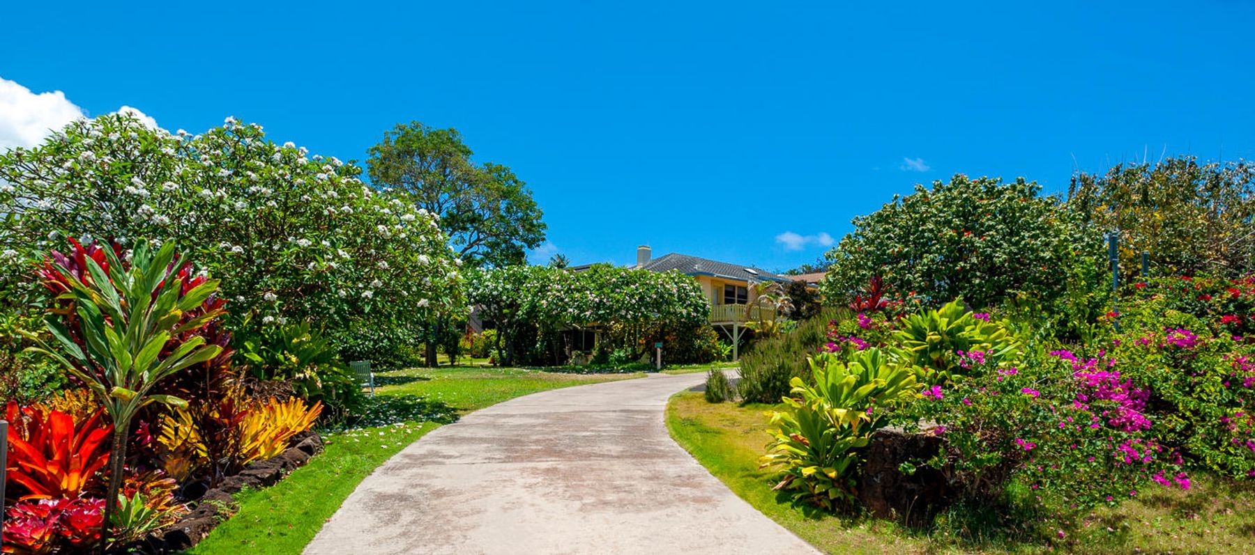 Poipu Plantation lodging in Poʻipū, Kaua‘i photo 10