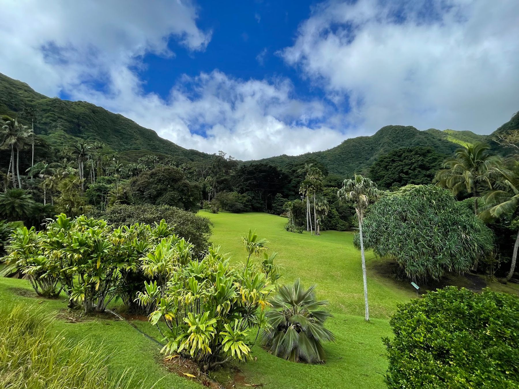 Photo 2 of Lyon Arboretum in Mānoa, Makiki & Nuʻuanu, Oahu