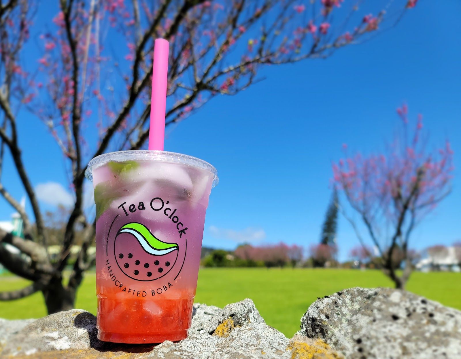 Photo 1 of Tea O'Clock Hawaii in Waimea, Big Island