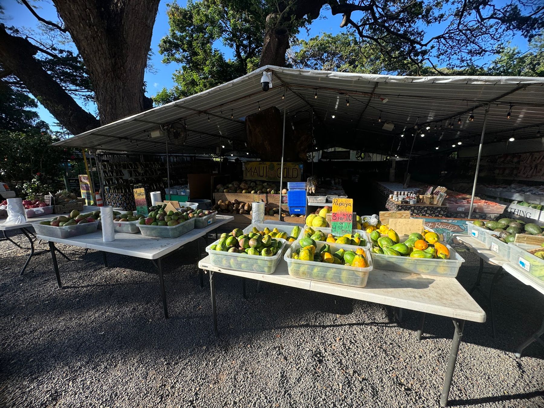 Photo 1 of Olowalu Juice Stand in Olowalu, Maui