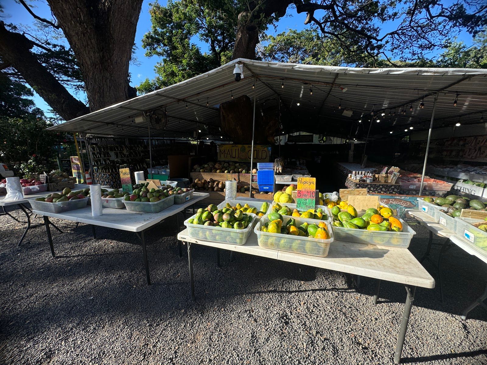 Photo 1 of Olowalu Juice Stand in Olowalu, Maui
