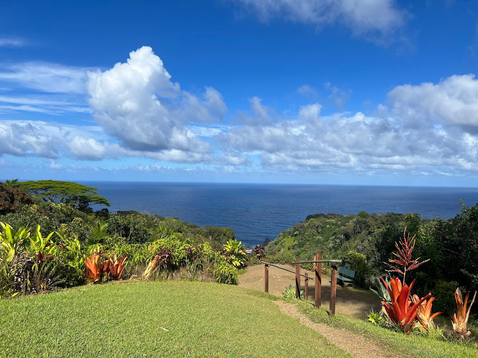 Photo 4 of Garden of Eden Arboretum in Keʻanae-Nāhiku, Maui