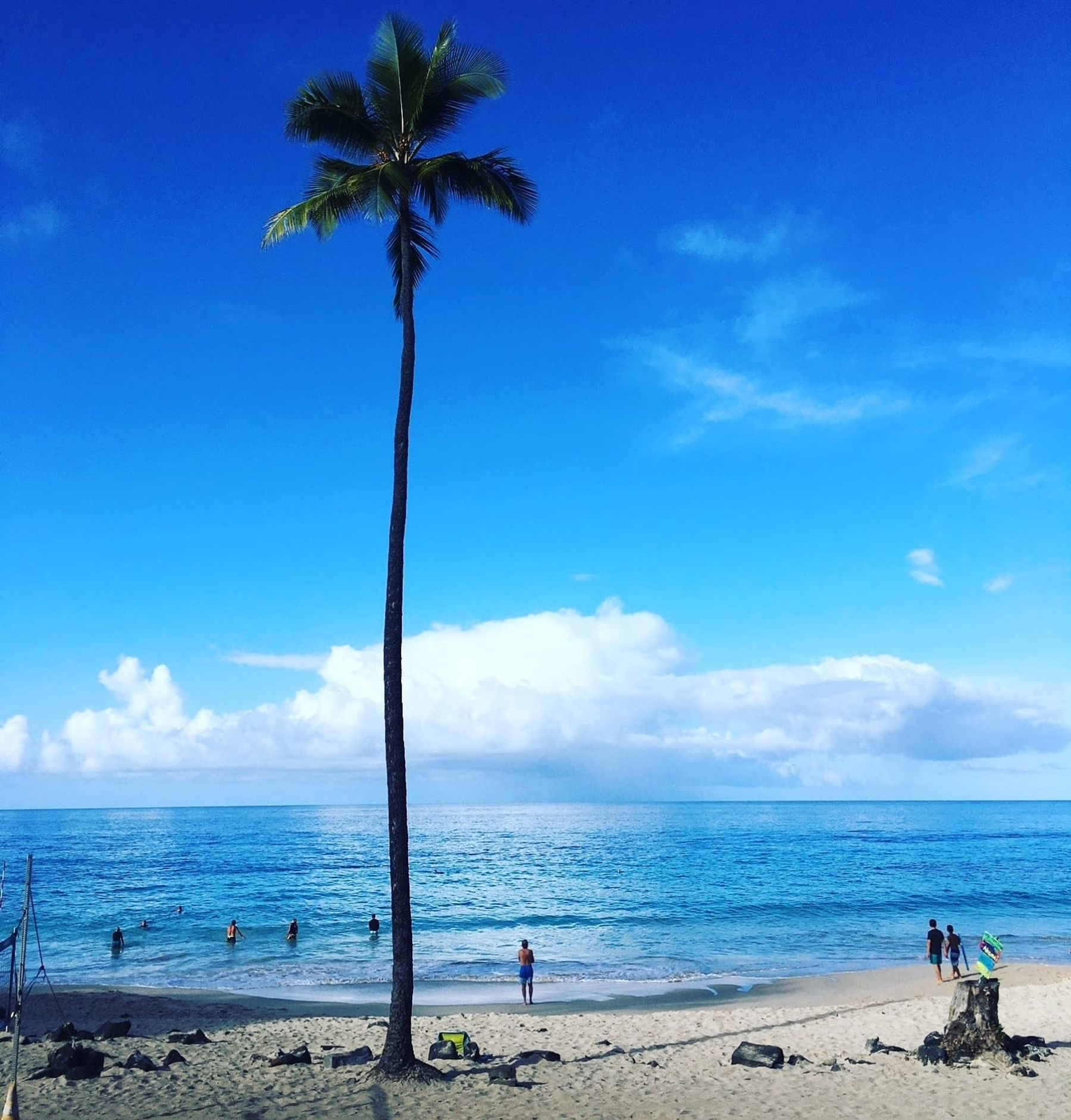 Photo 6 of Kahalu'u Bay Surf and Sea in Kailua-Kona, Big Island