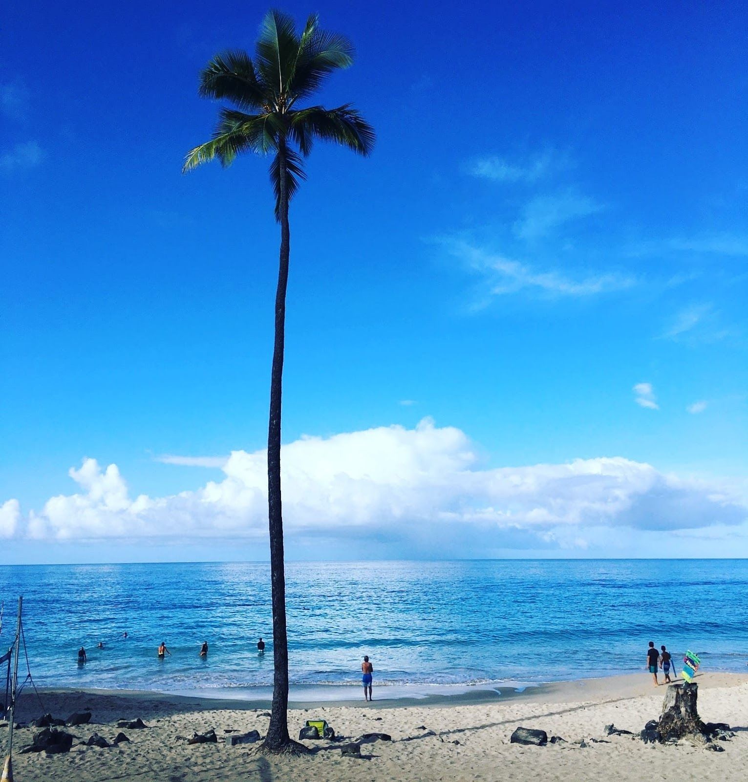 Photo 6 of Kahalu'u Bay Surf and Sea in Kailua-Kona, Big Island