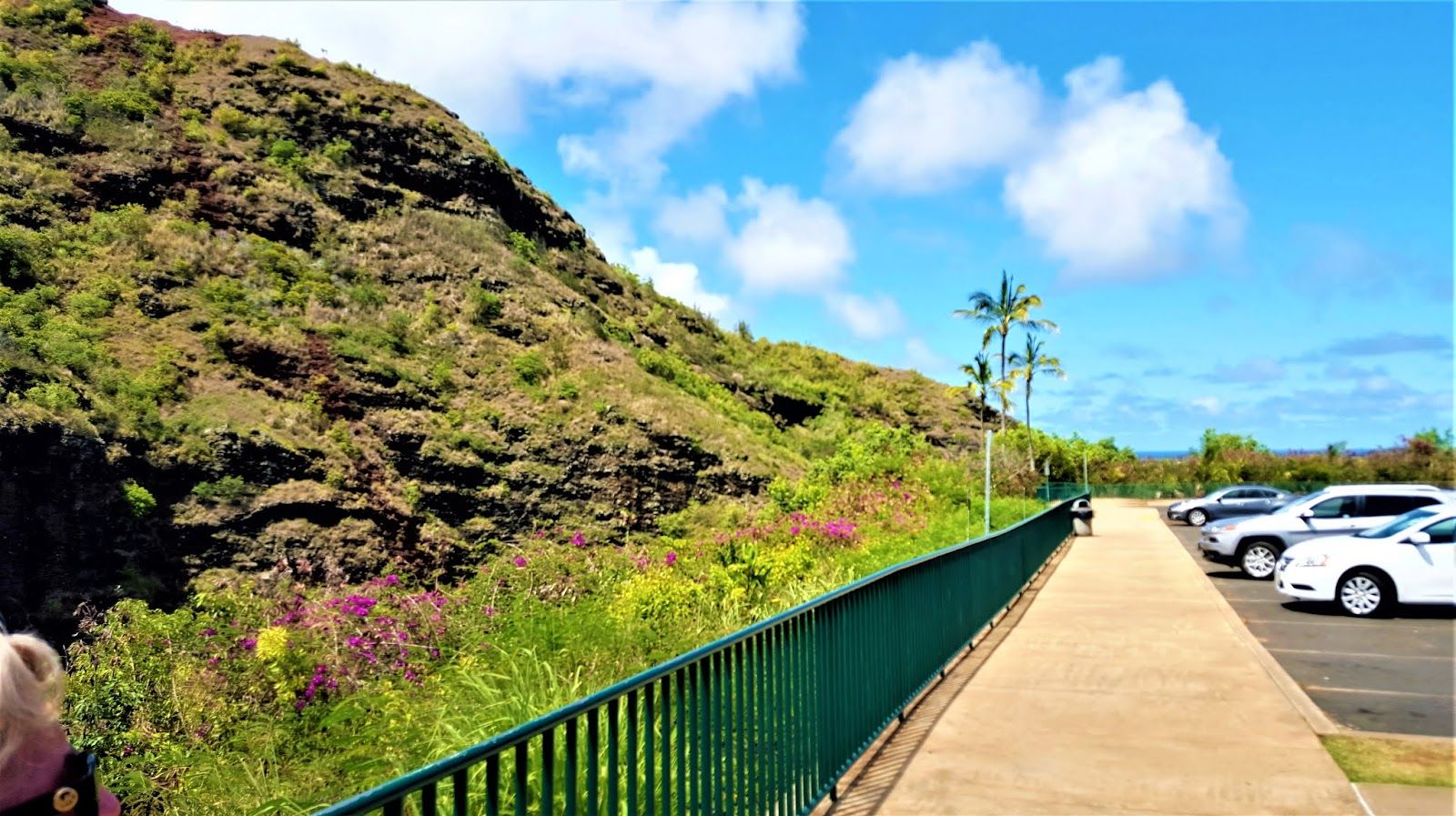 Opaeka'a Falls in Wailua Homesteads, Kaua‘i photo 5