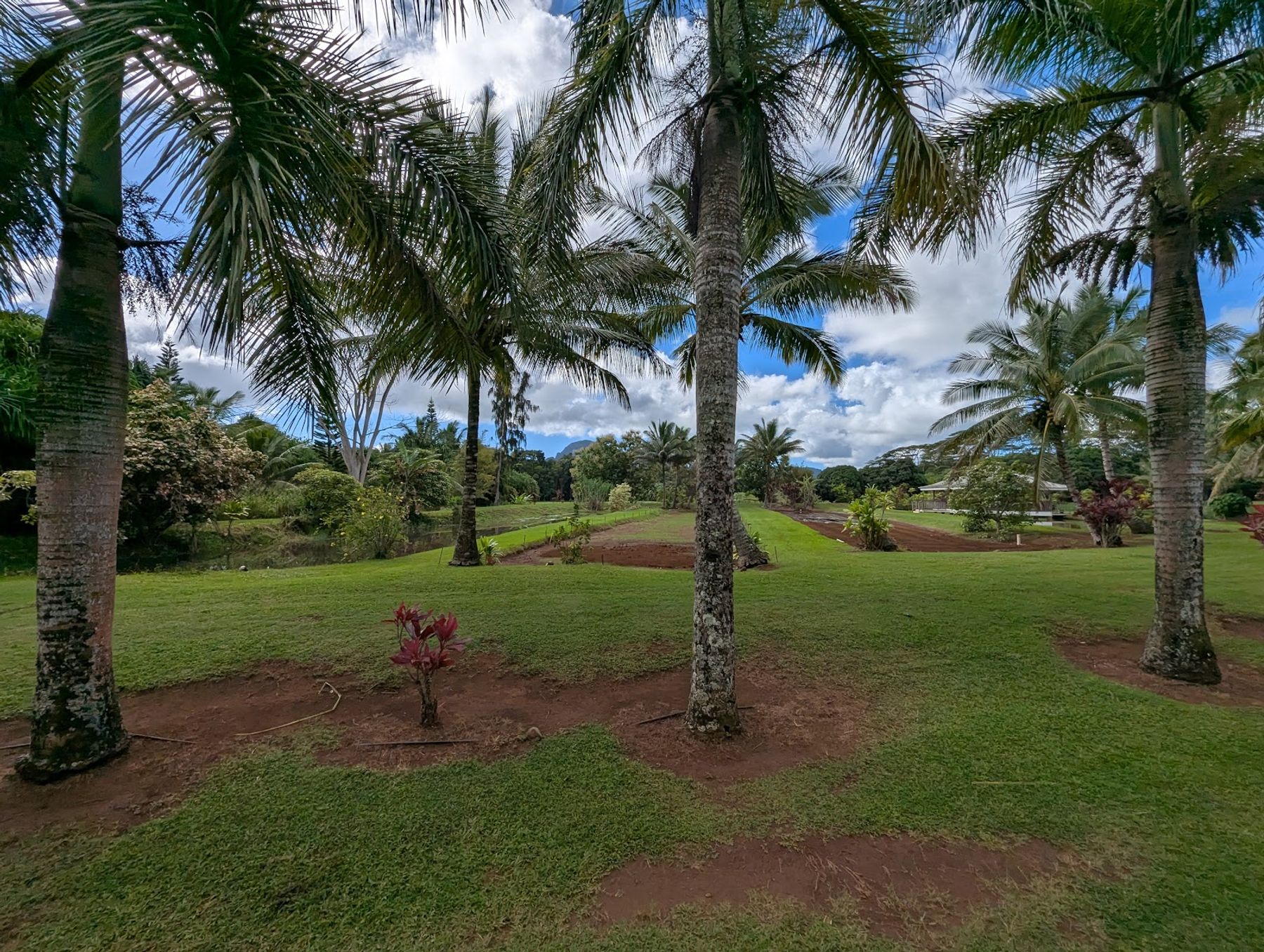 Kauai Plantation Railway in Lihue, Kaua‘i photo 3