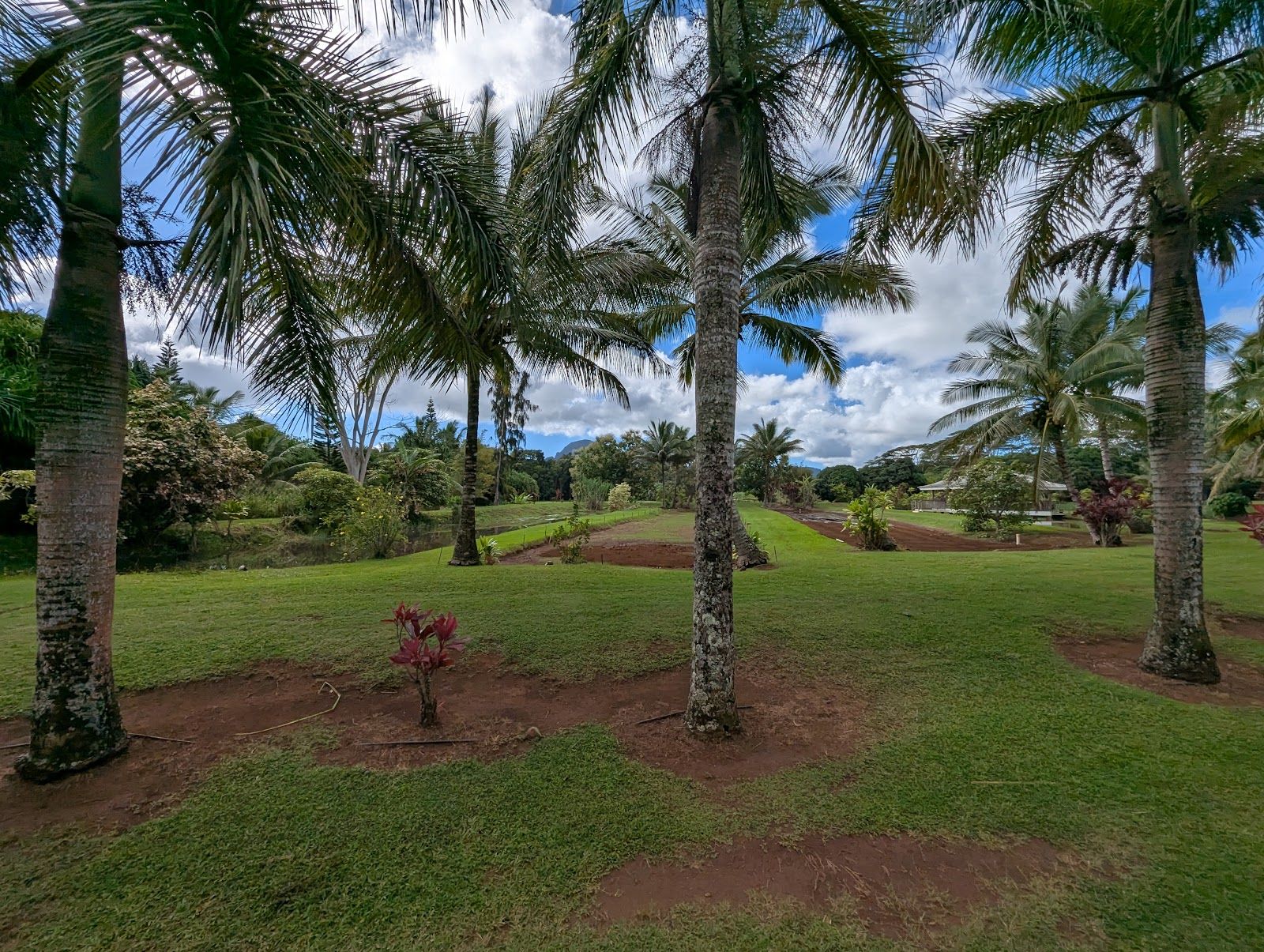 Kauai Plantation Railway in Lihue, Kaua‘i photo 3