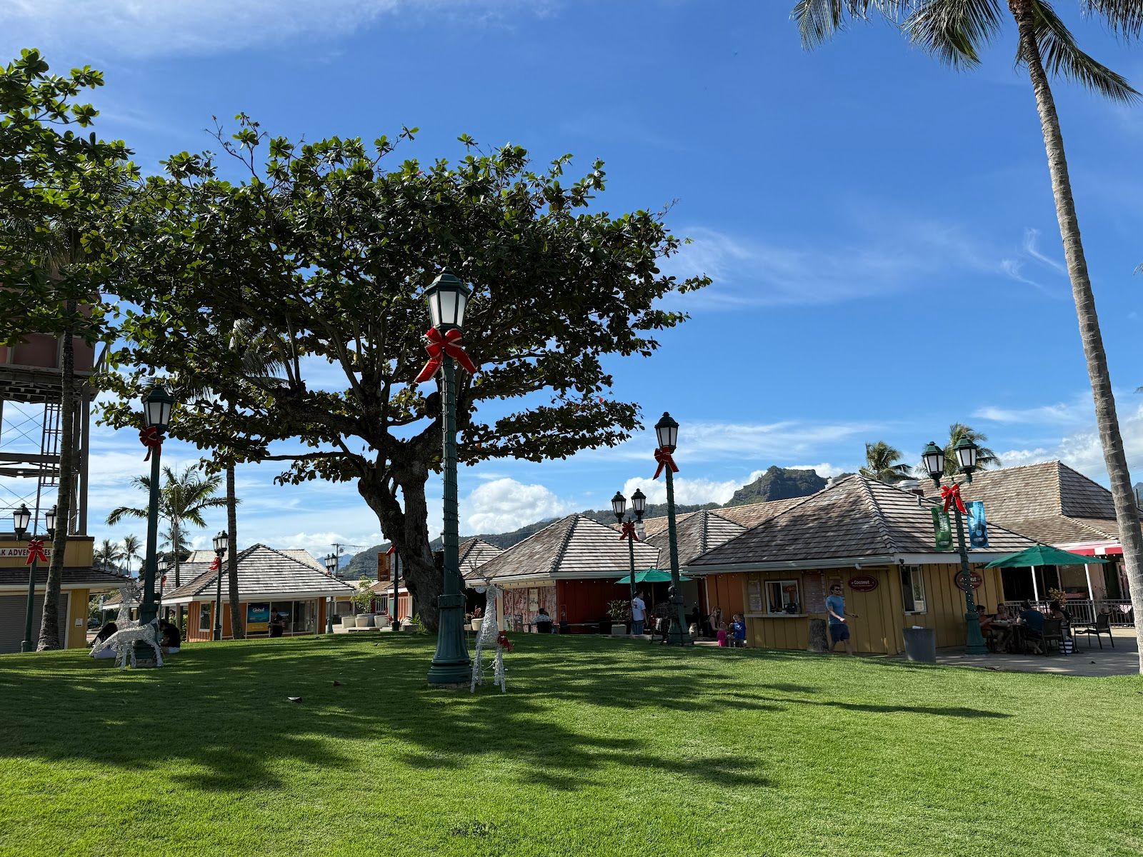 Photo 4 of Coconut Thai & Chinese Cuisine in Wailua, Kauai