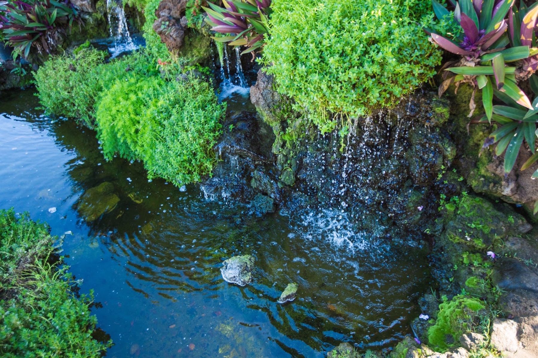 Photo 4 of Maalaea Surf Resort in Kīhei, Maui