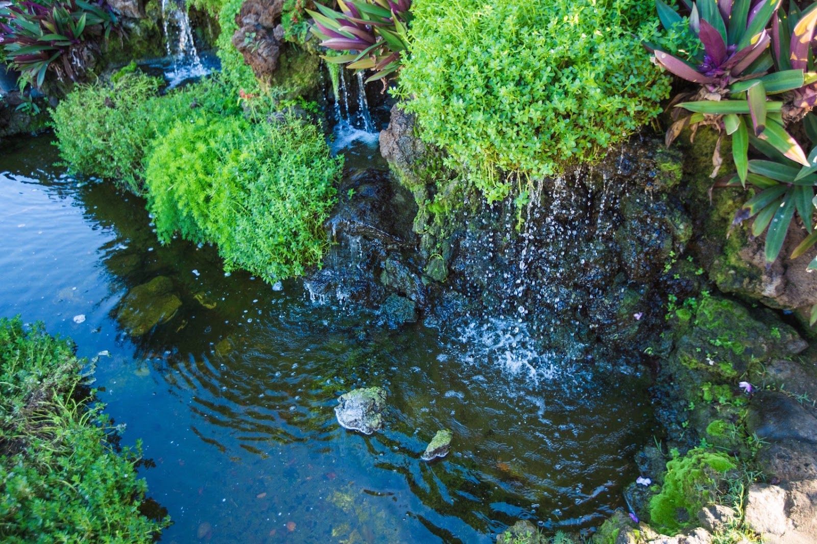 Photo 4 of Maalaea Surf Resort in Kīhei, Maui