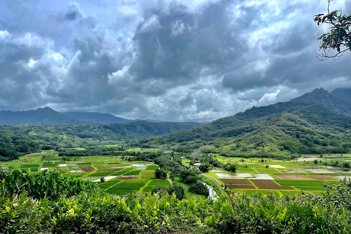 Hanalei Valley Lookout in Princeville, Kaua‘i