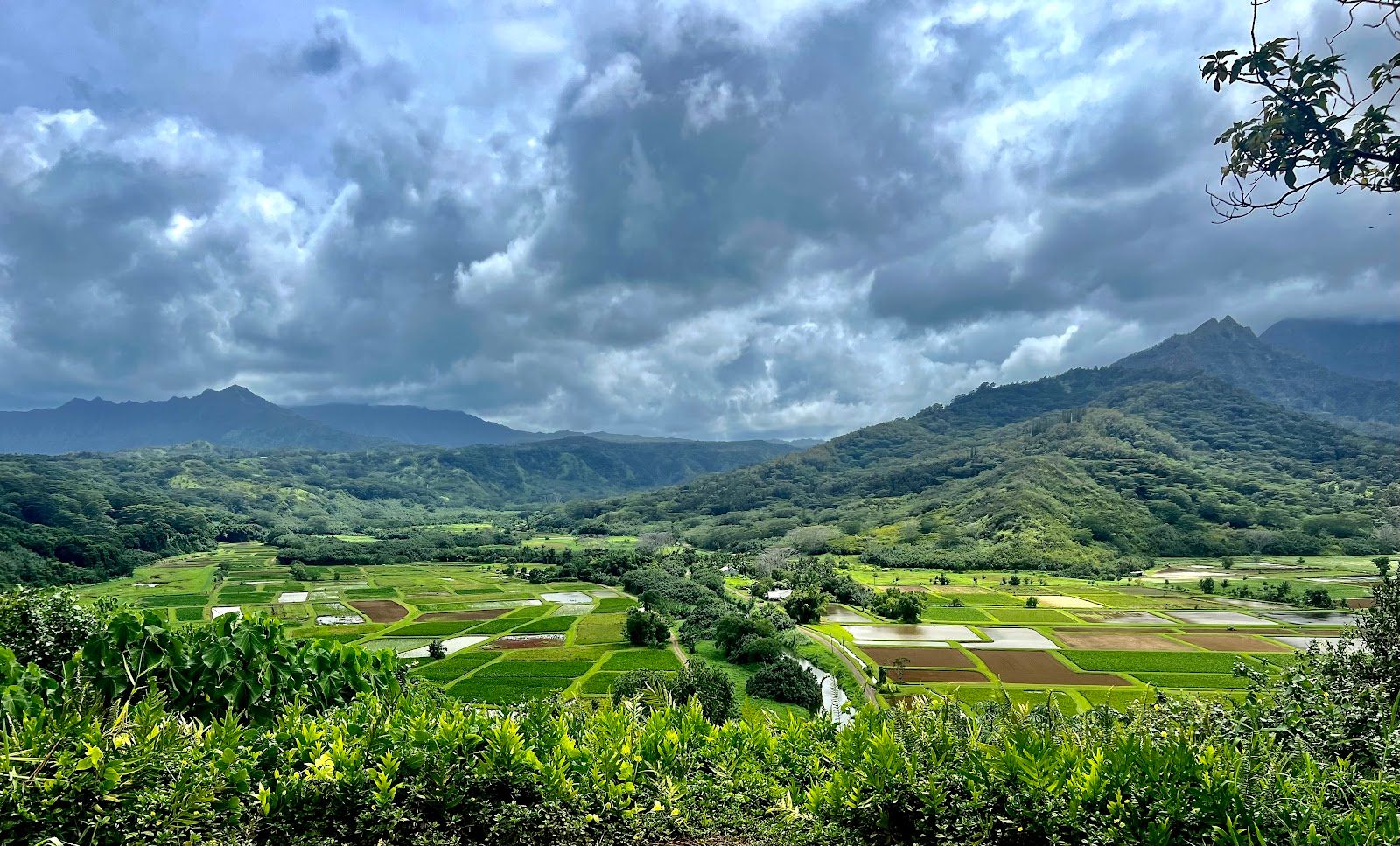Hanalei Valley Lookout in Princeville, Kaua‘i
