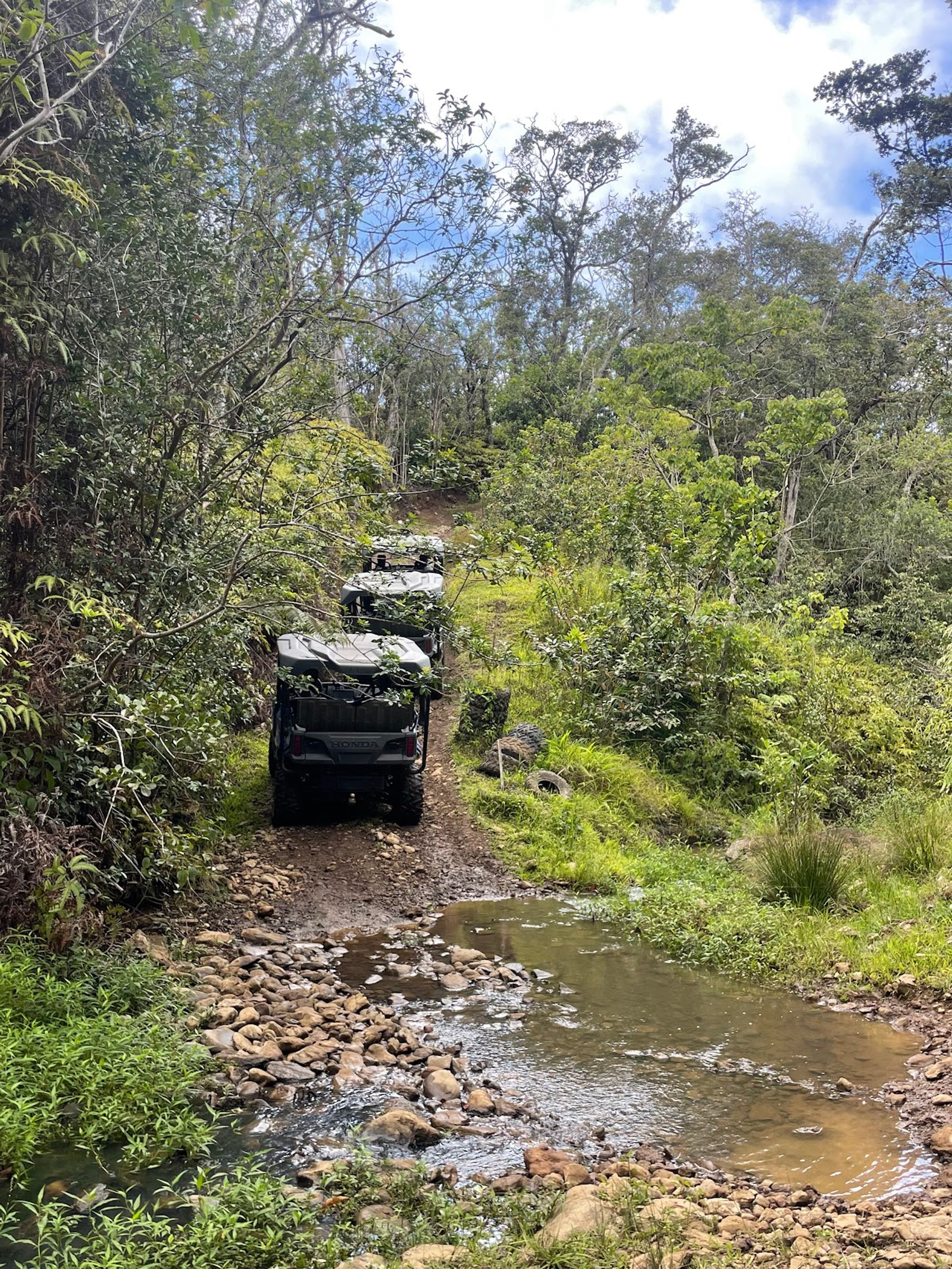 Photo 8 of Kohala UTV Adventure in North Kohala, Big Island