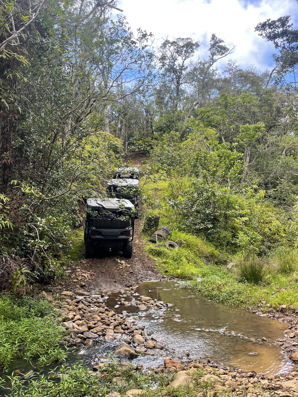 Photo 8 of Kohala UTV Adventure in North Kohala, Big Island