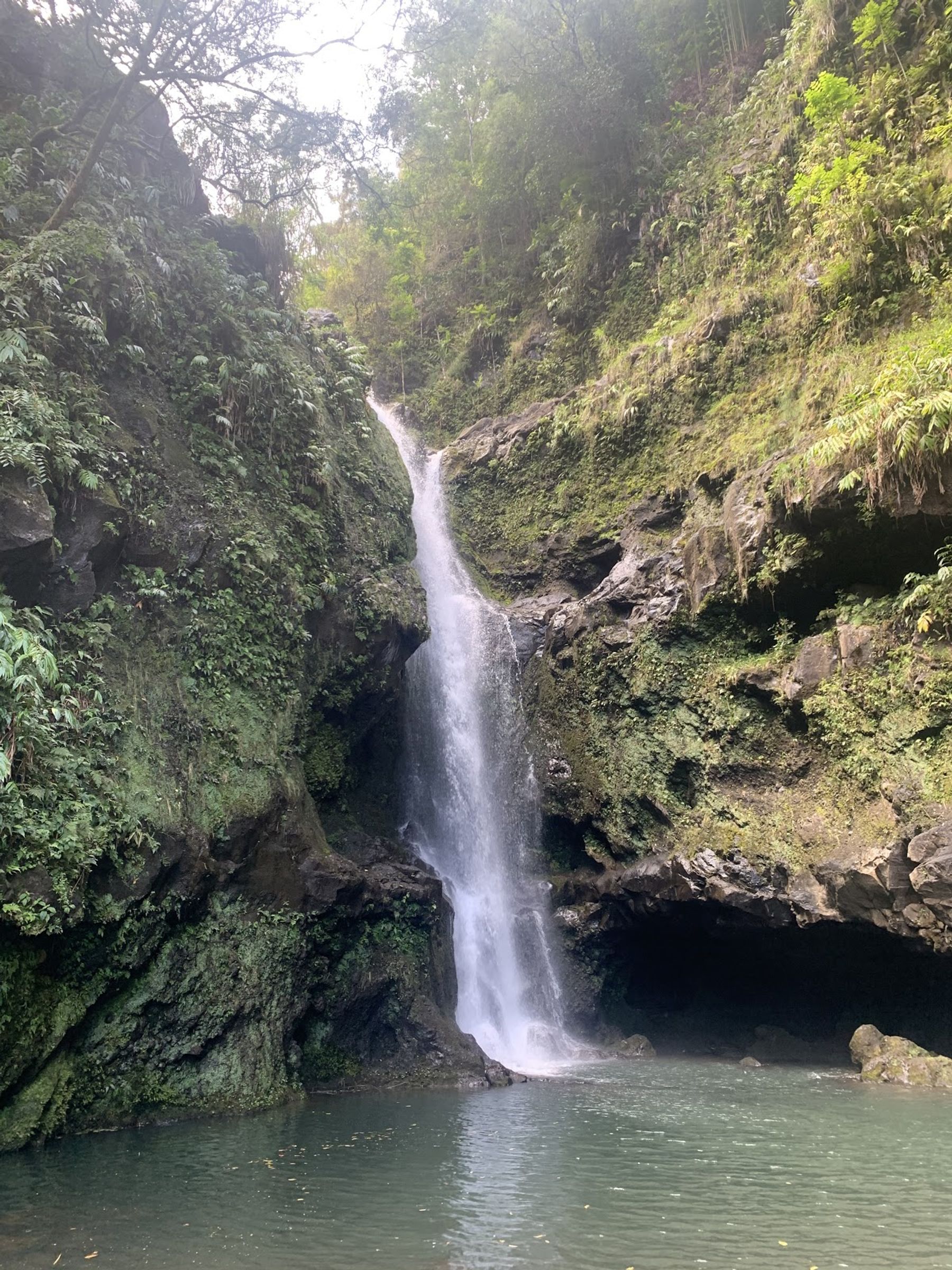 Photo 4 of Memorable Maui Tours in Wailea, Maui