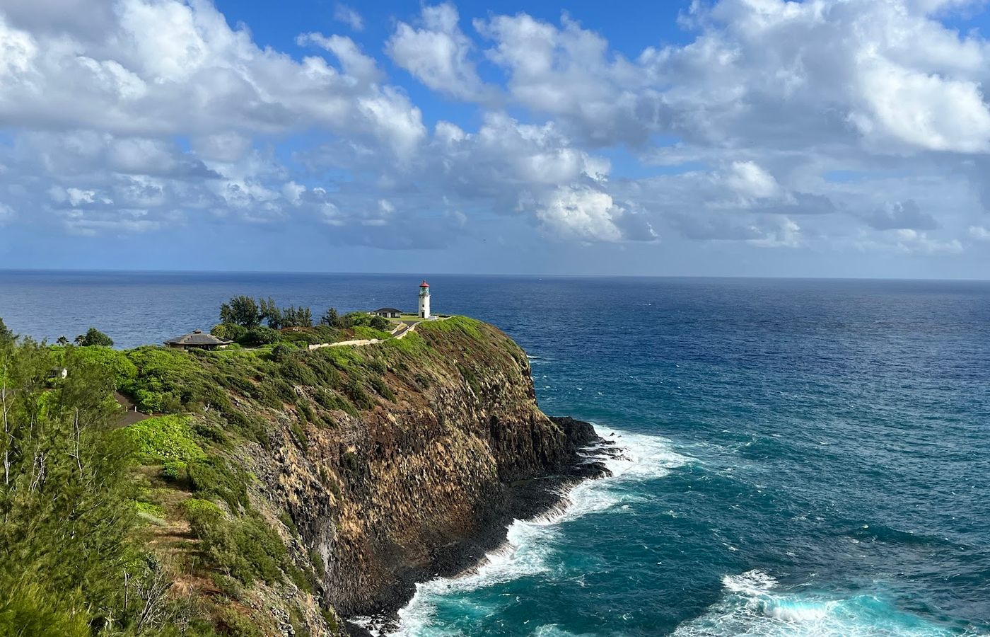 Kīlauea Point seabird circuit